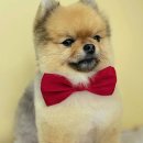 산호동457 이미지