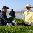 단평1리 이미지