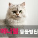 애니웰 동물병원 이미지