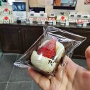 벨루가 | 여수 여행 아쿠아플라넷 벨루가 만난 후기