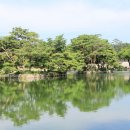 연못 속 풍경 이미지