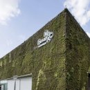 현대미술관 이미지