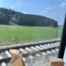 장기TOP태권도장 | 🇦🇹오스트리아🇦🇹 | 잘츠부르크 | 비엔나 여행 🤍 (미라벨 정원, 잘자흐 강, 프라터 놀이공원, 벨베데레...