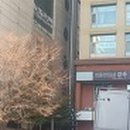 수정파출부