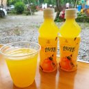 GS25대도대로 이미지