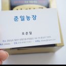 준일농장 | 준일농장 굼벵이환 &#39;나이스굼&#39; 후기