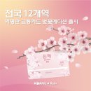 스토리웨이 울산맞이방직영편의점 | 코레일 전국 12개역 역명판 디자인 교통카드 벚꽃에디션 발행(+대전 실물카드 후기)