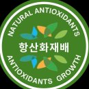 농업회사법인 한농민(주) | 일소,열과,착색부진극복하는 항산화재배! 농업회사법인주식회사코코스토리