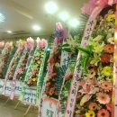 선주로-8 이미지