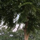 침산공원 이미지