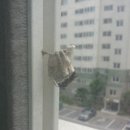 모래벌농장 이미지