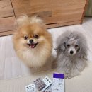 휴먼아이케어 이미지