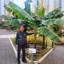 서창2동-8 이미지