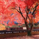 역사와 함께하는 미술여행 이미지