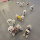 멍더가든 이미지