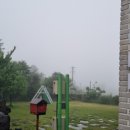 수국민박 이미지