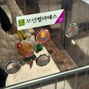 초장동16 | [진주 초전동 필라테스] 모던필라테스, 체형교정 필라테스, 코어 운동으로 최고!