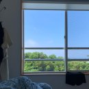 스테이 이공 이미지