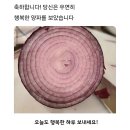 수영팔도시장 이미지