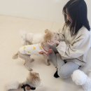프롬몽쥬 이미지