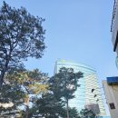 뚜레쥬르 카페교대역점 | 뚜레쥬르 슈톨렌 사전예약 제일제당센터점 방문기..