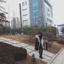 씨 캐슬 이미지