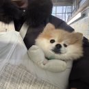 제일로 53번길 이미지