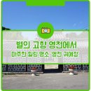 영천 귀애정 | 별의 고향 영천에서 마주한 힐링 명소 '영천 귀애정'