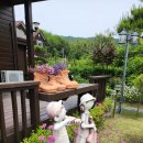 호수 정원 펜션 이미지