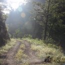 동인농장 이미지