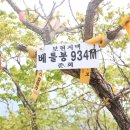 베틀봉 930m 경북 포항 / 청송 이미지