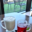 덕정리 | 고창 카페 I 백일후애 I 더덕라떼와 망고빙수 디저트 맛집 후기