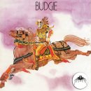 Homicidal Suicidal · Budgie 이미지