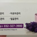 에스떠블유스킨바디