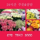 보람꽃집