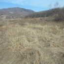 한벌1리 이미지