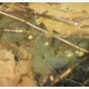 한박사카센타 이미지