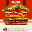 [정보] 버거킹 신메뉴 - 불끈버거 후기 (칼로리, 가격, 맛)