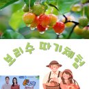 검산 농장 이미지