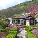 메이하우스 이미지