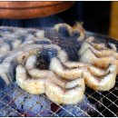 황금장어 이미지