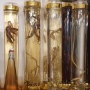 광원민박 이미지