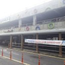 서귀동-19 이미지