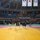 용인대 효 석사 태권도장 | 2026 군산오픈 새만금배 전국 태권도 대회 겨루기 후기