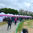 수리동주민센터 | 2024년 군포 철쭉축제 애견동반 정보 주차 가는방법 프로그램 일정 등 정보 공유(+4월21일 방문)