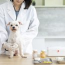 엔케어동물의료센터 이미지