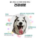 도그앤푸드 이미지