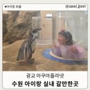 아쿠아플라넷 광교 | 광교 아쿠아플라넷 후기｜24개월·4살 아이 실제 반응 정리