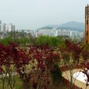 부산시민공원 이미지