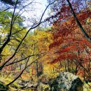 황둔황토마을 이미지